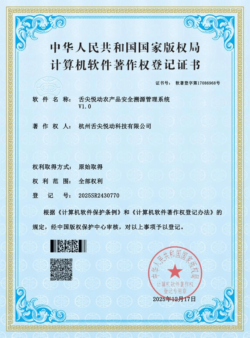 技术类知识产权 2